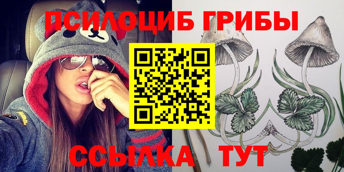 Псилоцибиновые грибы GOLDEN TEACHER  Вход с VPN  Черкесск 
