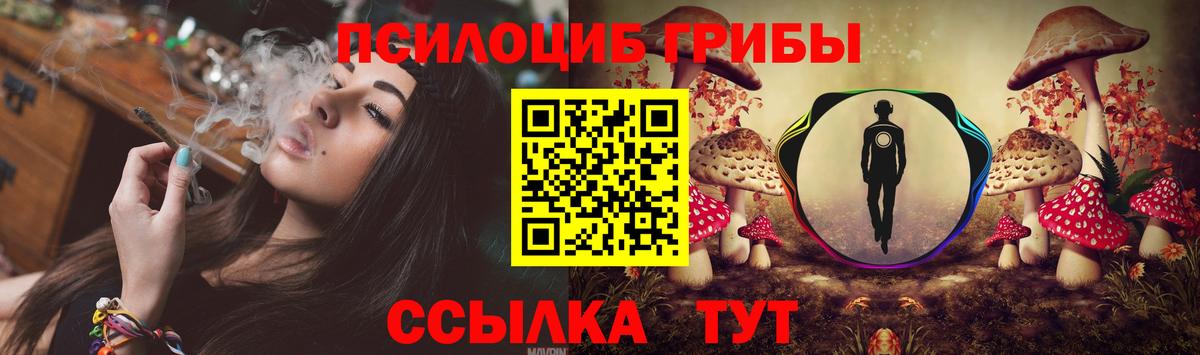 Псилоцибиновые грибы мицелий Черкесск